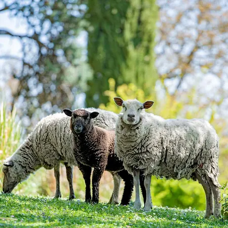 Hotel Chateau De Noirieux 4*