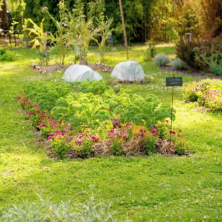 Chateau De Noirieux فندق 4*