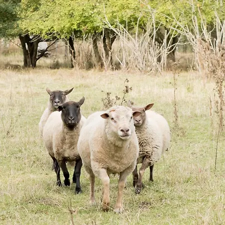 Hotel Chateau De Noirieux