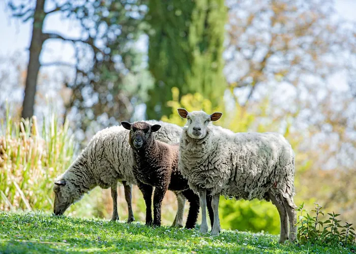 Hotel Chateau De Noirieux 4*