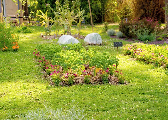 Chateau De Noirieux Hotel 4*