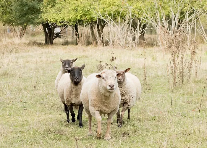 Hotel Chateau De Noirieux